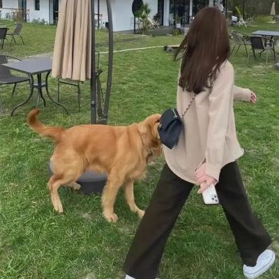 女人世上